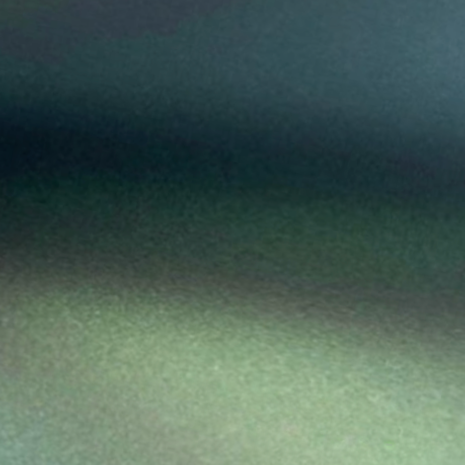 Gloss Ghost Metallic Dark Green PPF