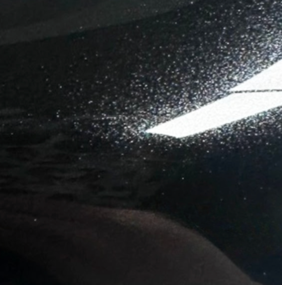 Gloss Havana Black PPF
