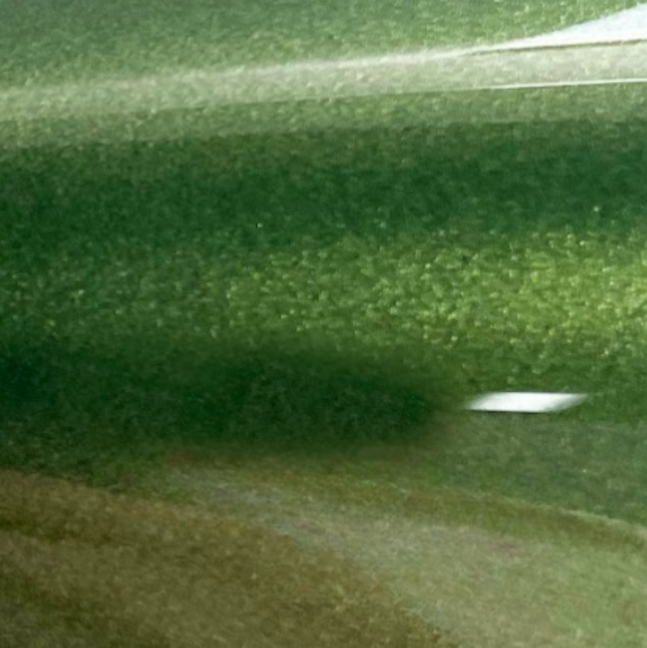 Gloss Mamba Green PPF