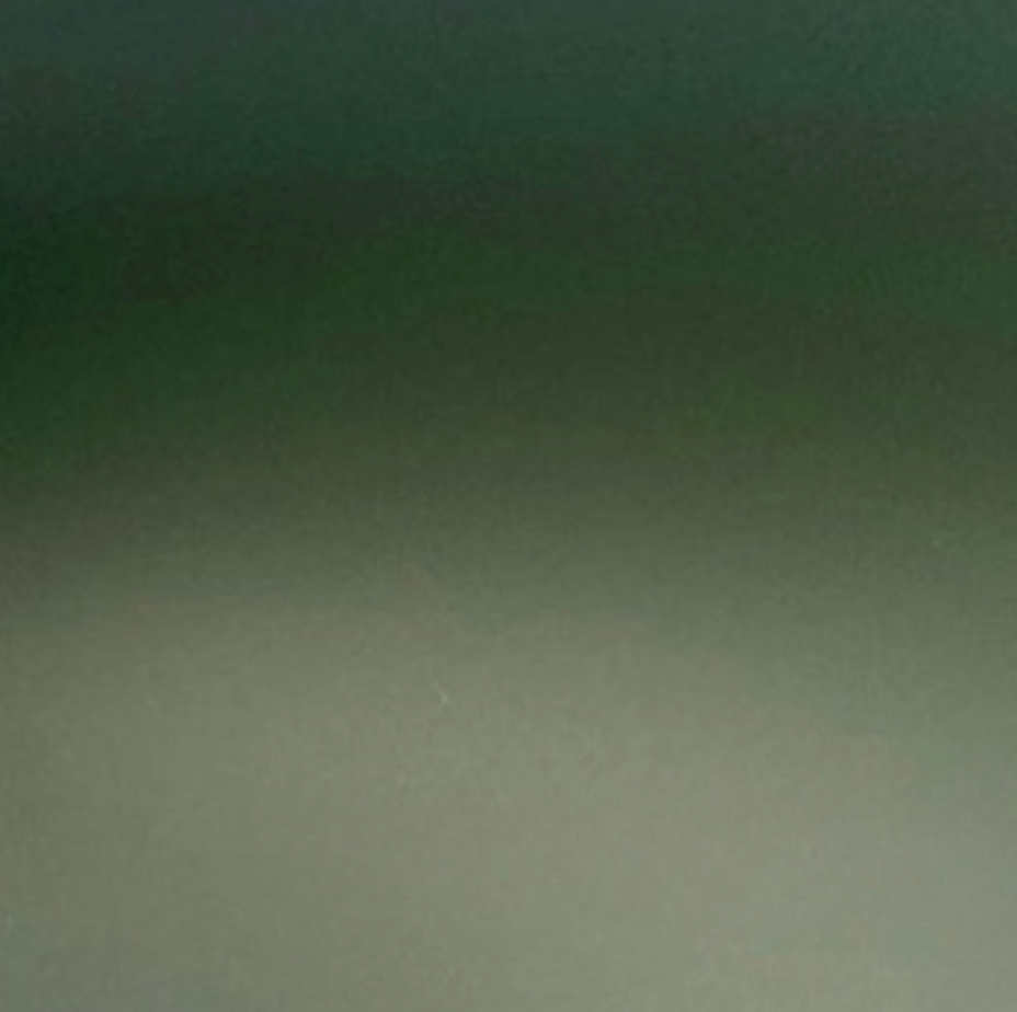 Matte Military Green PPF