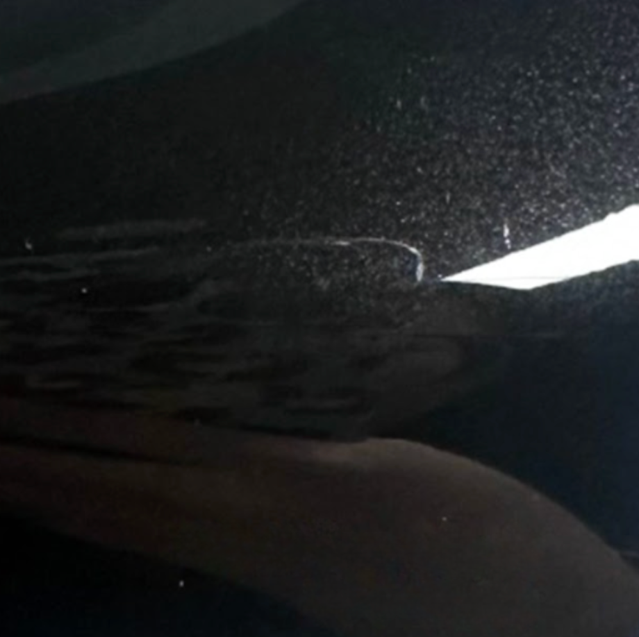 Gloss Obsidian Black PPF